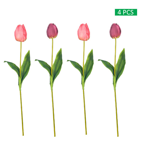 Two Color Mix Tulip Flowers