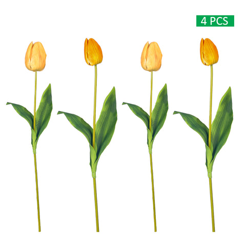 Two Color Mix Tulip Flowers