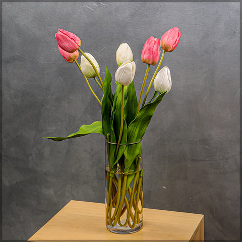 Two Color Mix Tulip Flowers