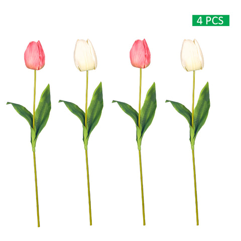 Two Color Mix Tulip Flowers