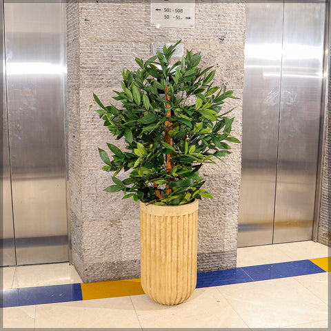 Cement pot with stripe design