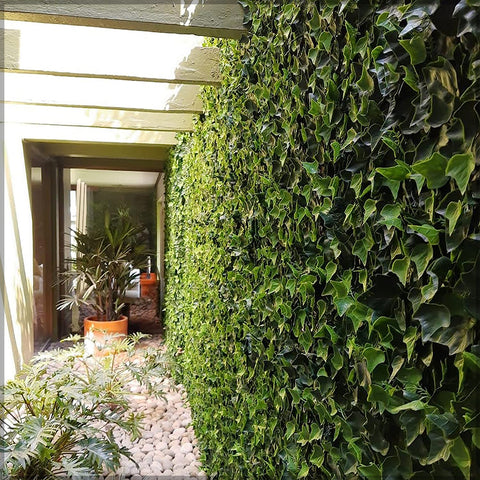 Grass Wall Arrangement