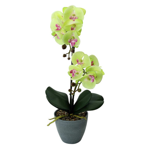 Fake Potted Orchid Flower With 2 Stem