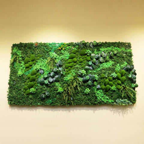 Botanical Greenery Moss Wall Art Home Decor