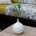 Unique decorative ceramic vase in elephant garlic shape