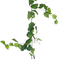 Green artificial vines for indoor and outdoor decoration