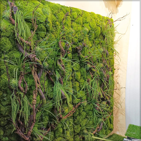 Green Wall Decoration