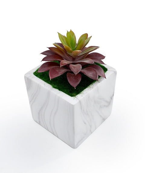 Artificial Potted Succulent Plant With Ceramic