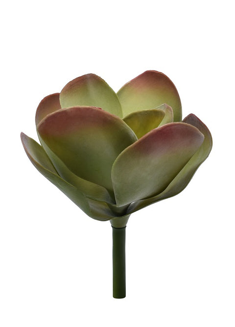 Artificial kalanchoe thyrsiflora for desk decoration