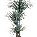 Faux Yucca Tree for Indoor Decoration in Pot