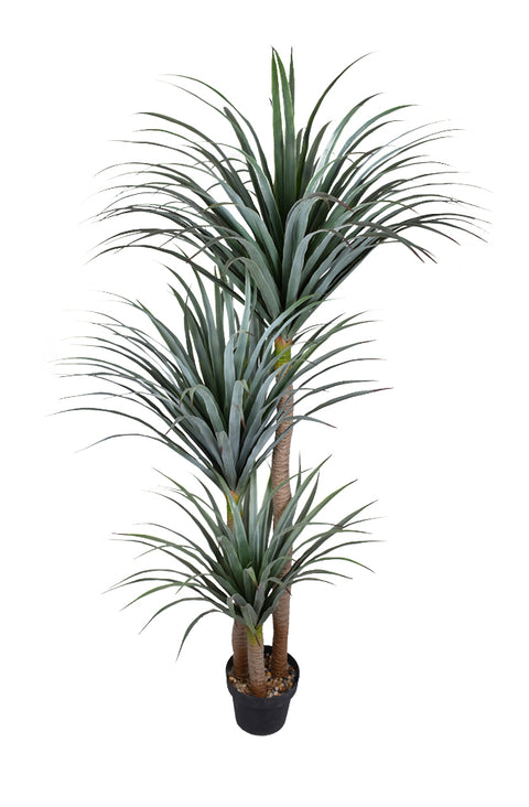 Faux Yucca Tree for Indoor Decoration in Pot