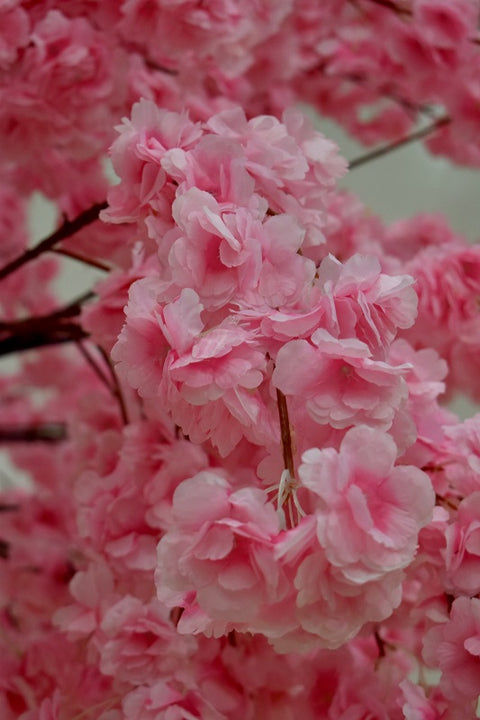 Oversized Cherry Blossom Tree Decor