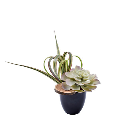 Artificial Mini Gray Succulents Plant With Wooden Slices