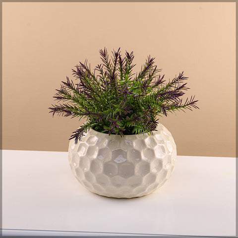 Stylish cream ceramic pot