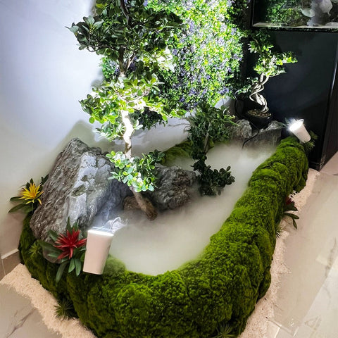 Home Landscape Arrangement with Modern Looks