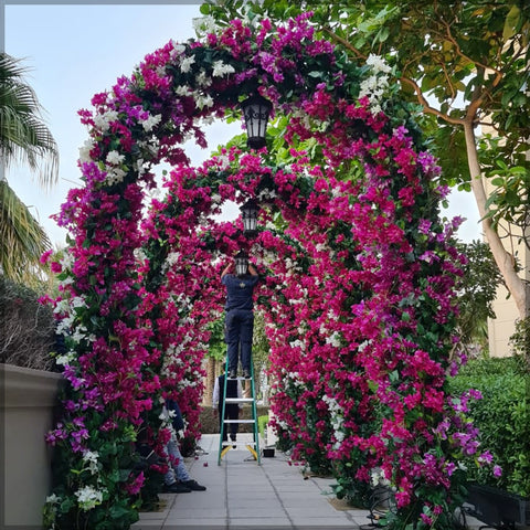 Hotel Garden Arrangement