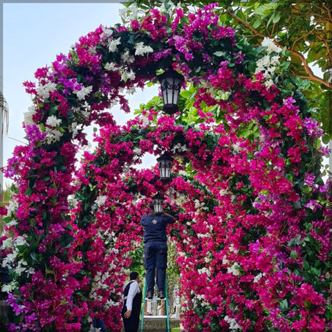 Hotel Garden Arrangement