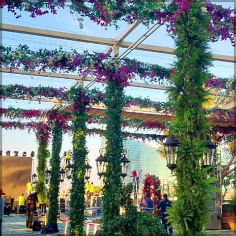 Hotel Garden Arrangement