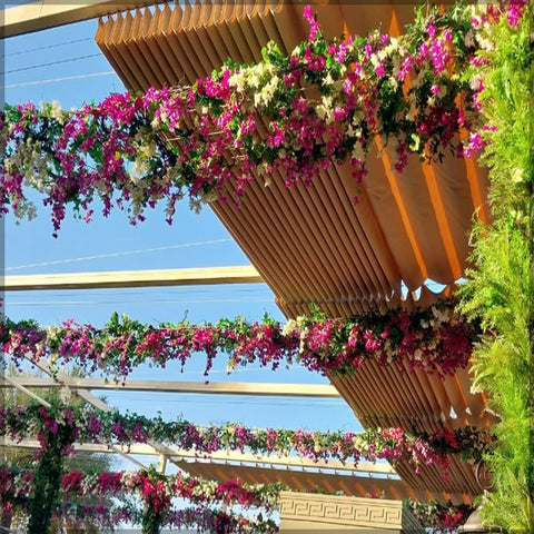 Hotel Garden Arrangement