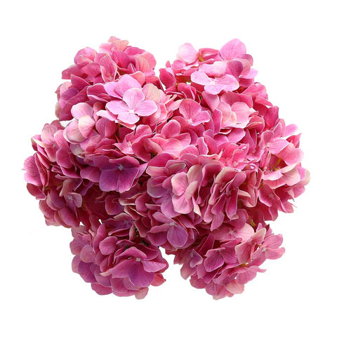 2 pcs Fake Hyrangea Flowers Bunches