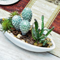 Fake cactus plant for indoor spaces