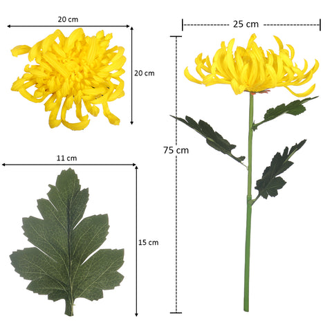 Japanese Chrysanthemum