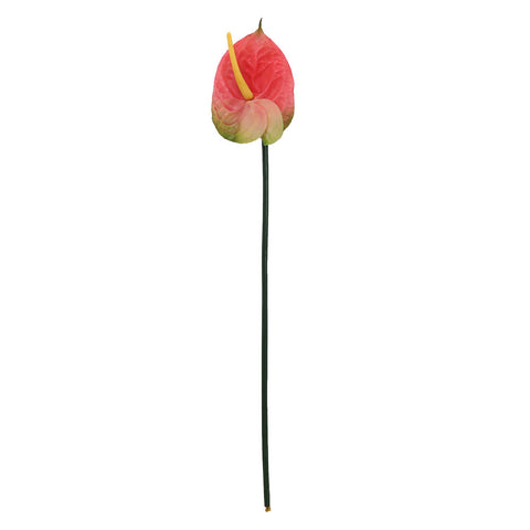 Artificial Anthurium Flowers