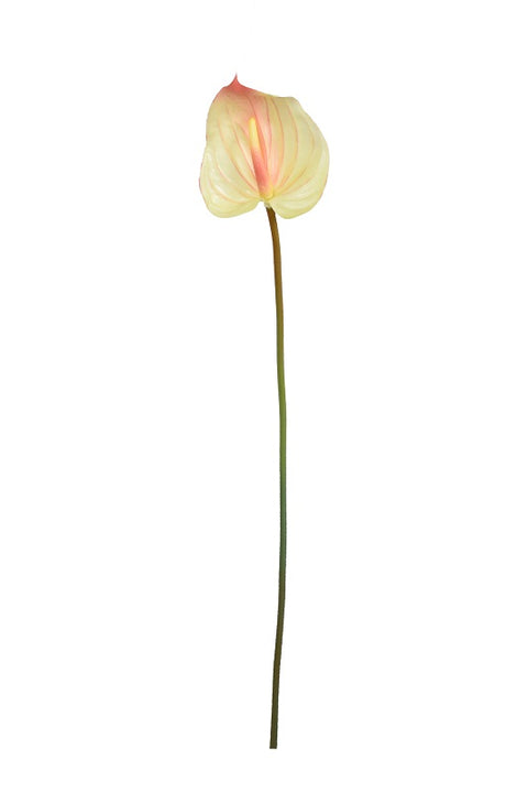 Artificial Anthurium Flowers