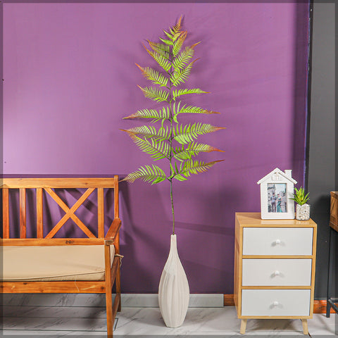 Long stem fernleaf for indoor plant styling