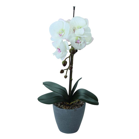 Artificial Potted Phalaenopsis Flower