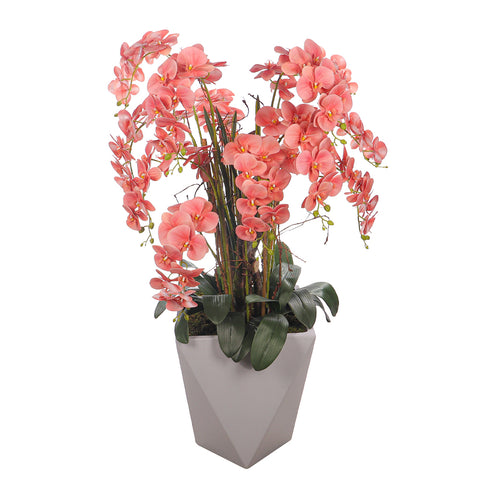 Natural Look Orchid Arrangements Peach