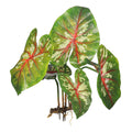 Artificial mini caladium plant with vibrant green and pink leaves