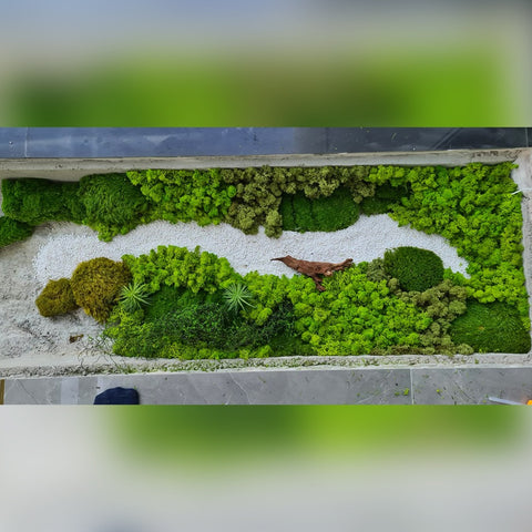 Mini Landscape Design