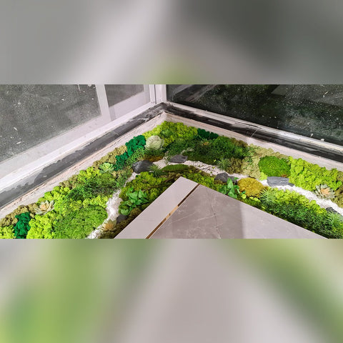 Mini Landscape Design