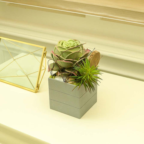 Artificial Potted Succulent Plant