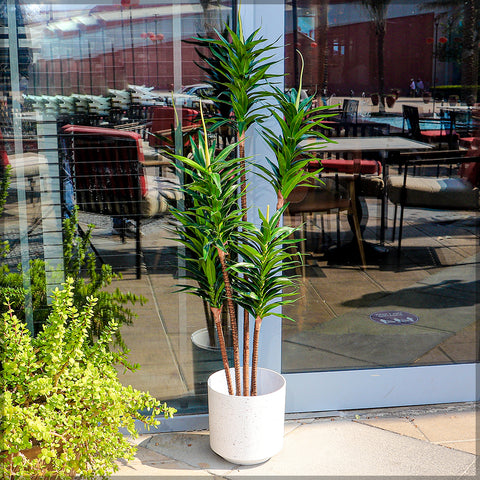 Round white planters for modern gardens