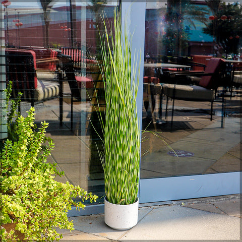 White round planters outdoor