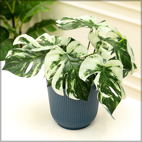 2pcs Modern Rib Design Plastic Pot