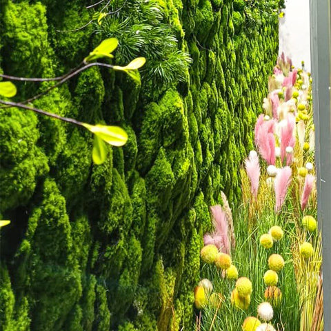 Moss Carpet Wall Decoration