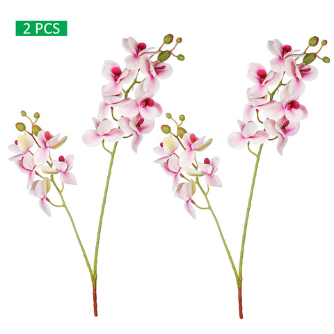 Artificial Moth Orchid