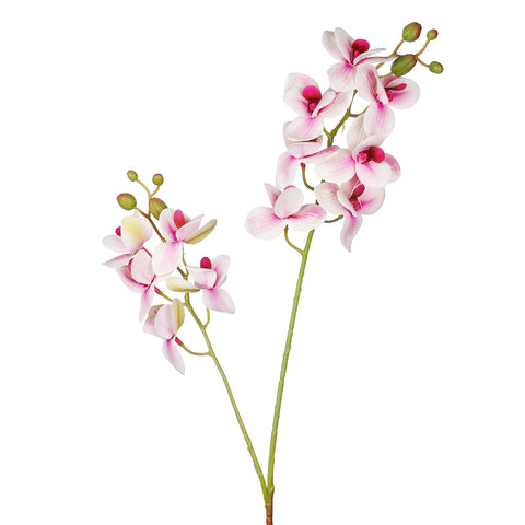 Artificial Moth Orchid