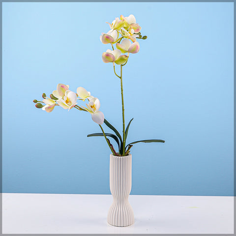 Artificial Moth Orchid