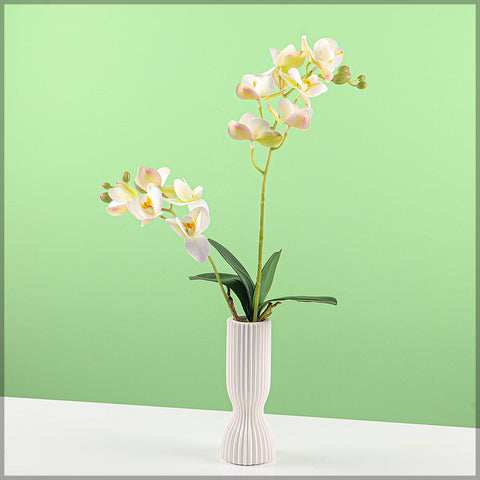 Artificial Moth Orchid