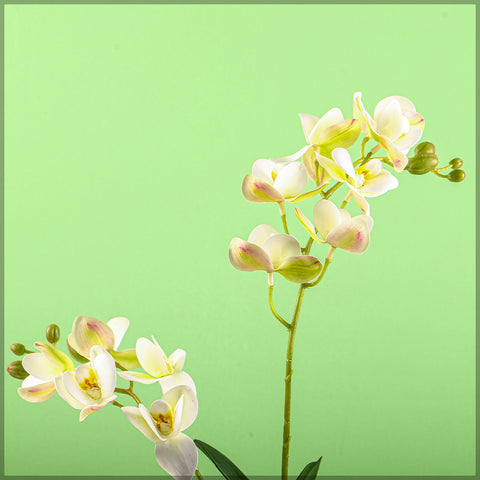 Artificial Moth Orchid