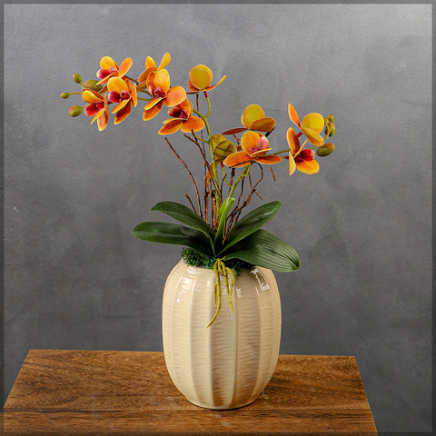 Artificial Moth Orchid