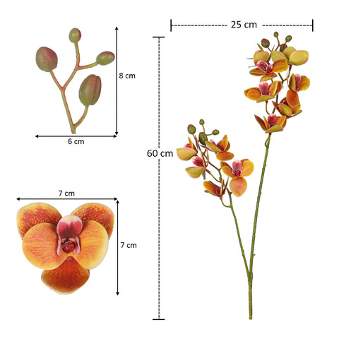 Artificial Moth Orchid