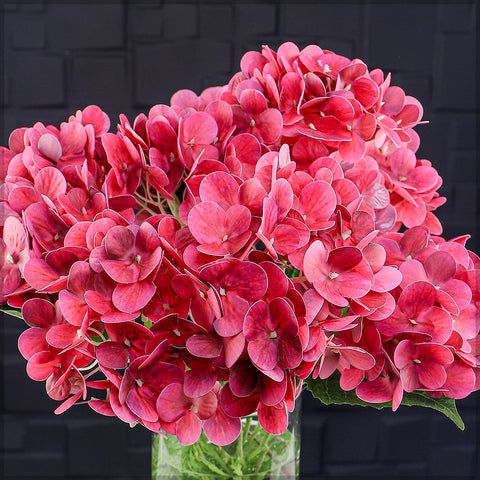 Nearly Natural 3D Hydrangea Flower