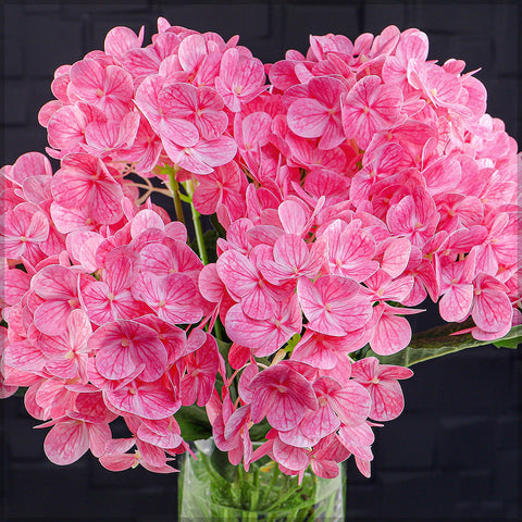 2bunches Nearly Natural 3D Hydrangea Flower