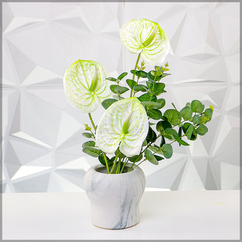 White Anthurium Flower Arrangement with Vase