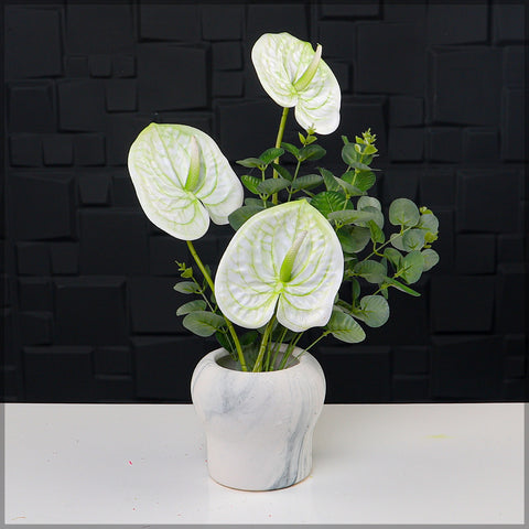 White Anthurium Flower Arrangement with Vase